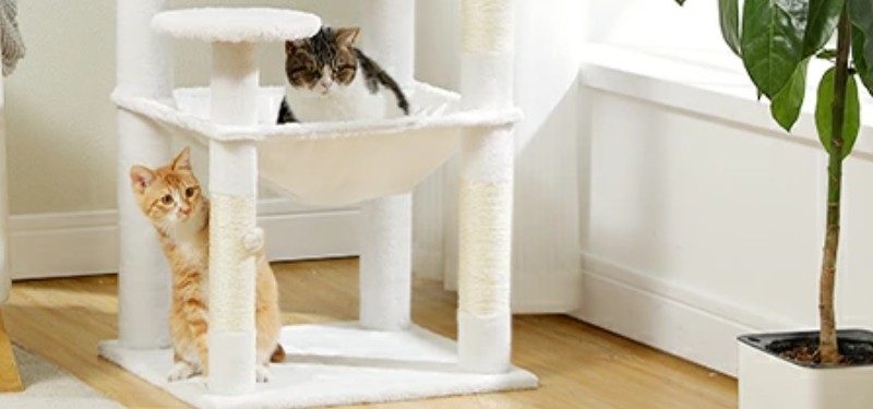 �y�V�P�ʔL�^���[����143�Z���` �L���n�����b�N�܂Ƃ����������T�C�g